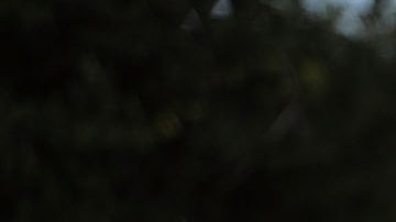 Una vigilia de oración frente a Casa Padre, un centro para niños inmigrantes en Texas.