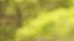 El último año ha mejorado casi 2% el índice de graduación de educación básica entre los menores hispanos.