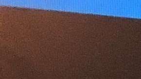 Los portadores de "green card" tienen derechos y obligaciones.