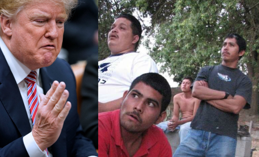 El gobierno de Donald Trump se ha caracterizado por una dura retórica antiinmigrante