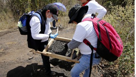 La organización civil busca a personas desaparecidas en la entidad.