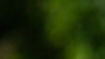 Diego Reyes está de vuelta en los entrenamientos con la selección mexicana