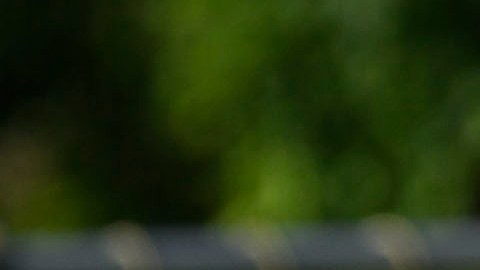 Diego Reyes está de vuelta en los entrenamientos con la selección mexicana