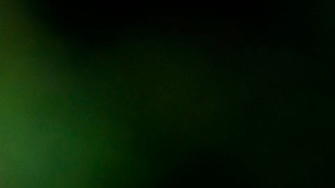 Héctor Herrera no se siente cómodo, tras el escándalo por la fiesta del Tricolor