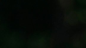 La selección mexicana tuvo su última práctica, antes de enfrentar a Dinamarca