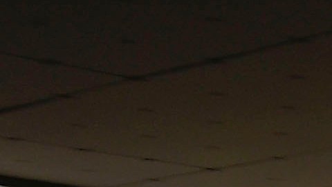 Raúl Jiménez jugará con el Wolverhampston de Inglaterra