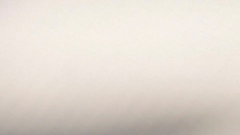 Diego Reyes causó baja de la selección mexicana