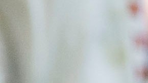 Tecatito se encuentra en Monterrey tratándose una lesión muscular.