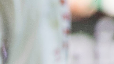 Tecatito se encuentra en Monterrey tratándose una lesión muscular.