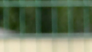 Juan Carlos Osorio dirigió el último entrenamiento de la selección mexicana en otro campo