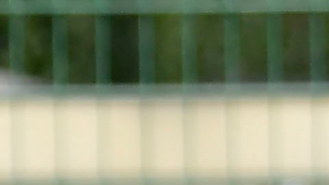 Juan Carlos Osorio dirigió el último entrenamiento de la selección mexicana en otro campo