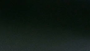 Tite, director técnico de la selección de Brasil