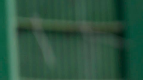 El valor de la selección mexicana asciende a $180 millones de dólares