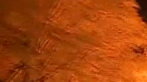 Los bomberos tardaron 36 minutos en extinguir el fuego.