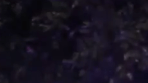 El incidente ocurrió en la intersección de las calles Market y Nutwood