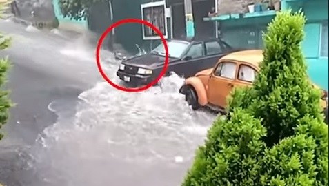Las imágenes fueron captadas por una vecina.