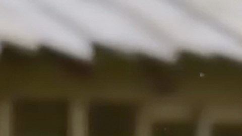 Julián Gil en "Bachelorovsky" de Univision