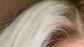 Kesha, Katy Perry y Lady Gaga