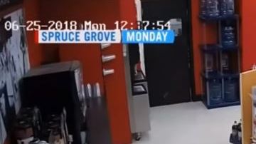 Ladrones tontos Canadá