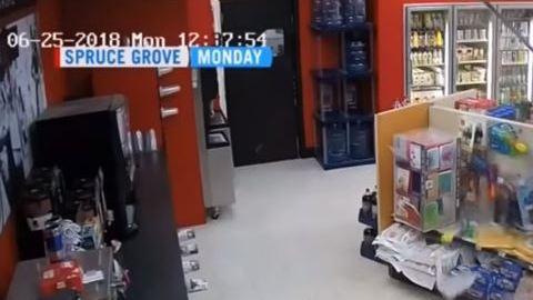 Ladrones tontos Canadá