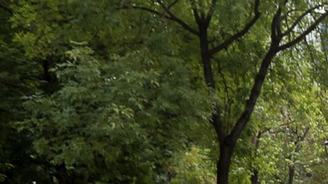 Los 43 estudiantes de Ayotzinapa desasparecieron en septiembre del 2014.