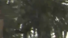 La fiesta de graduación se celebraba en la cuadra 2400 de la calle Gates.