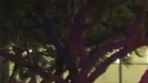 Un agente de policía vuelve sobre los pasos de la víctima.