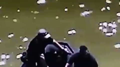 El sospechoso nadó hasta el centro del lago.