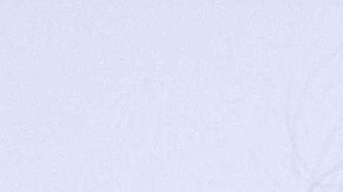 Melania Trump se reunirá con la reina Isabel II.