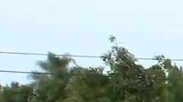 Las autoridades acordonaron la zona por varias horas.