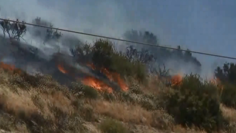 El fuego avanzó por los matorrales.