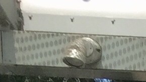 Francis con su hija Nivea y Gina con su nieta Aaliyaa acudieron a mostrar su rechazo por las políticas de separación de padres e hijos en la frontera sur. (Araceli Martínez/La Opinión).