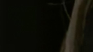 Ninel Conde en "El Señor de los Cielos"