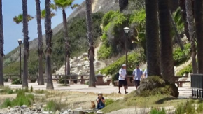 Las aves fueron devueltas a la playa de San Pedro.