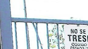 El LAUSD tiene una población significativa de estudiantes indocumentados. (Ciro César/La Opinión).