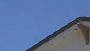 Las autoridades solicitaron la orden de allanamiento después de ver a una camioneta ir y venir del inmueble.