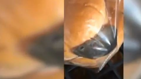Ratón en pan de Wendy's