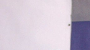 Vicente Carrillo Leyva