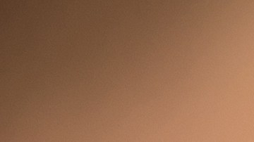 Una examen de sangre mide la edad biológica del cuerpo mejor que los métodos actuales