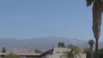 El cuerpo apareció en un estacionamiento cerca de las calles Pumalo y Del Rosa.