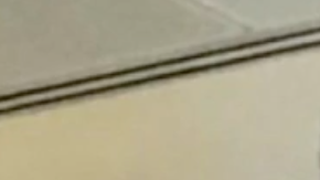 Jermaine Gresham de los Arizona Cardinals, pagó el equipaje de una pasajera.