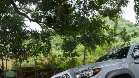 Toyota encabeza este rubro.