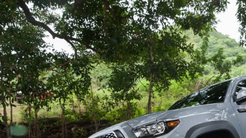 Toyota encabeza este rubro.