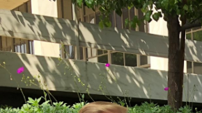 La política migratoria de Trump ha causado gran indignación.