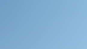 La registración para los campamentos de verano en Chicago ya comenzó.
