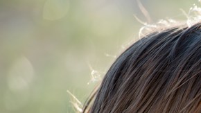 Acoso cibernético y niños latinos