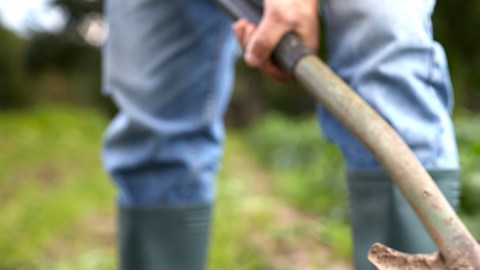 Encuentra restos del ex de su esposa en el jardín