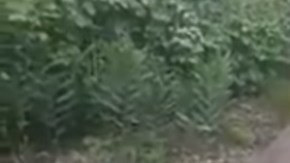 Sobreviviente dice que mucha gente quedó enterrada.