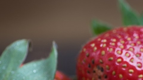 Fresas.