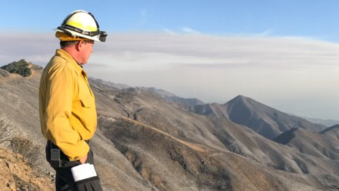 De las 281,893 hectáreas quemadas, 181,333 se encontraban en el Bosque Nacional Los Padres.